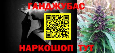 стаф Боровичи
