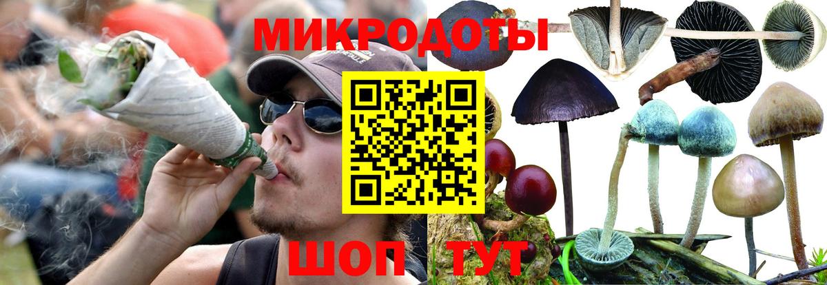 Псилоцибиновые грибы прущие грибы  где найти наркотики  Галлюциногенные грибы GOLDEN TEACHER  Богородицк  Вход с VPN 